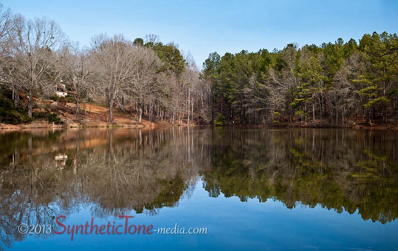 Wooded Reflections