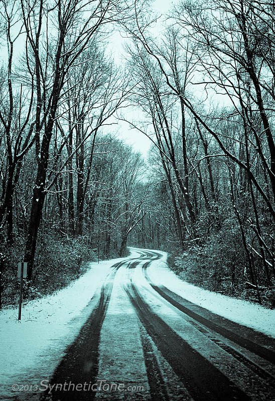 Winter Drive in Forest