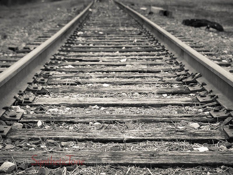 Overgrown Railroad Tracks