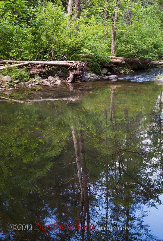 Jack's River Reflection