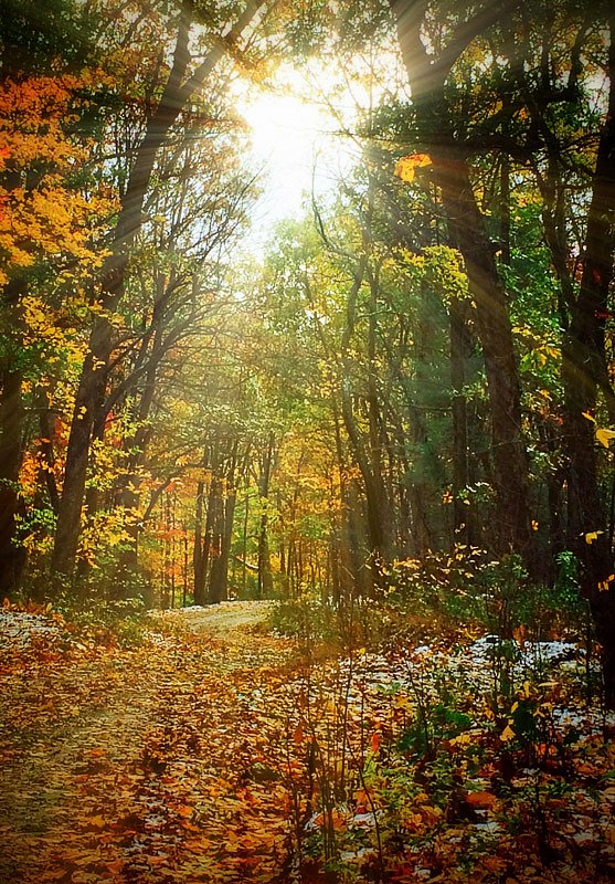 Fall in Northern Georgia