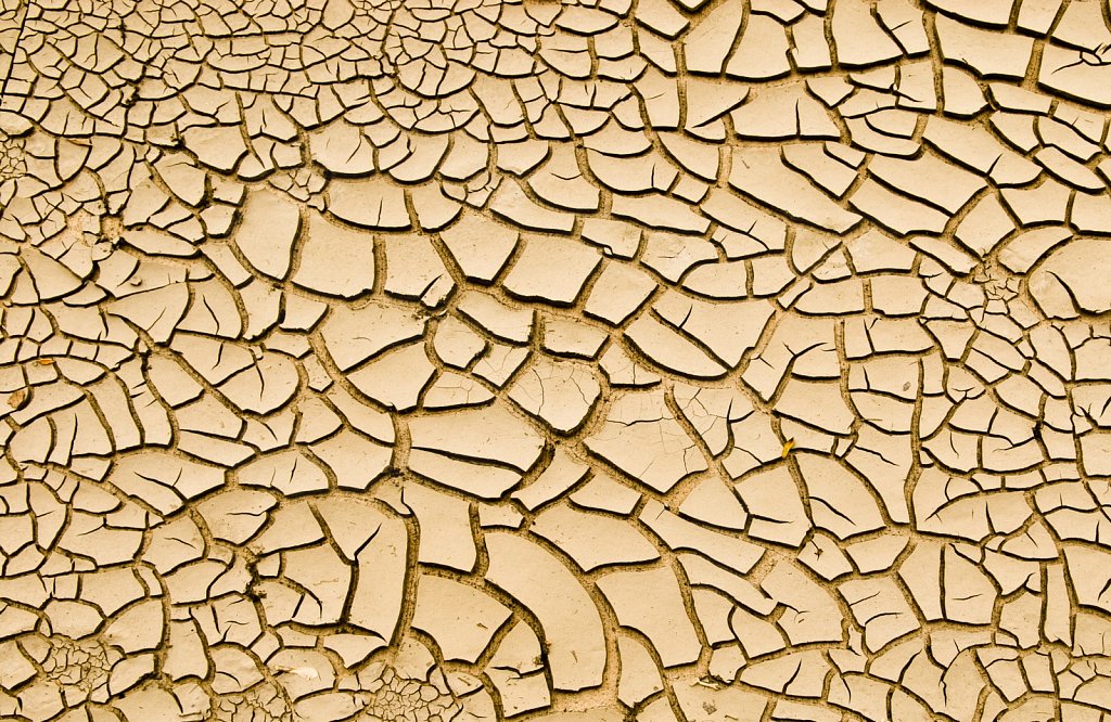 Mud Cracks Texture